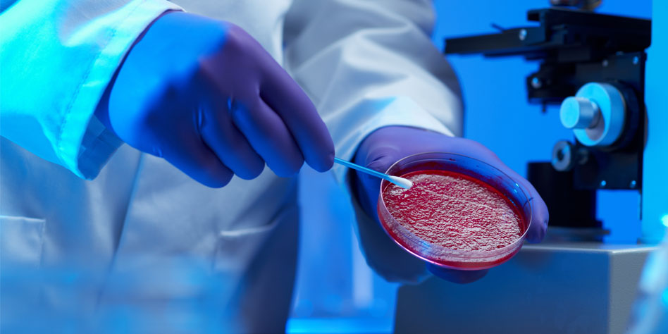 hero-image-full-biosecurity.jpg
